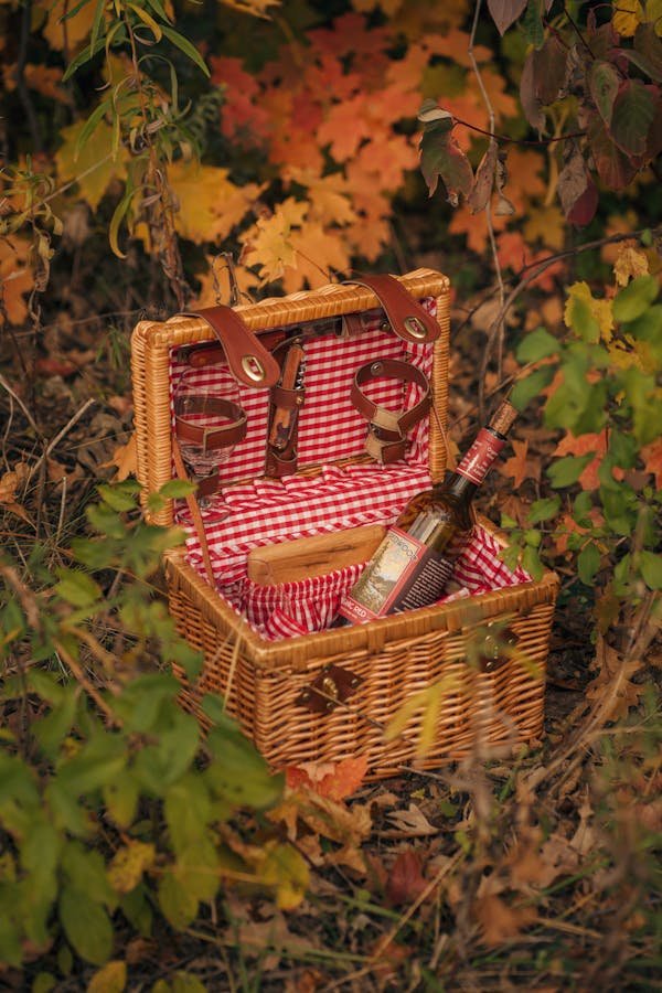 Unlock hidden gems with mystery box wine treasures